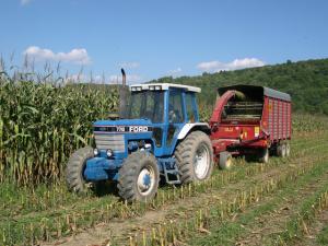 Chopping Corn in Cattaraugus County